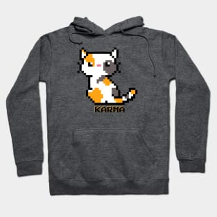 Karma - Calico Cat Hoodie